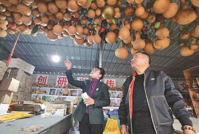 陳麗（左）引進(jìn)能人創(chuàng)辦葫蘆基地。 周妍 攝.jpg